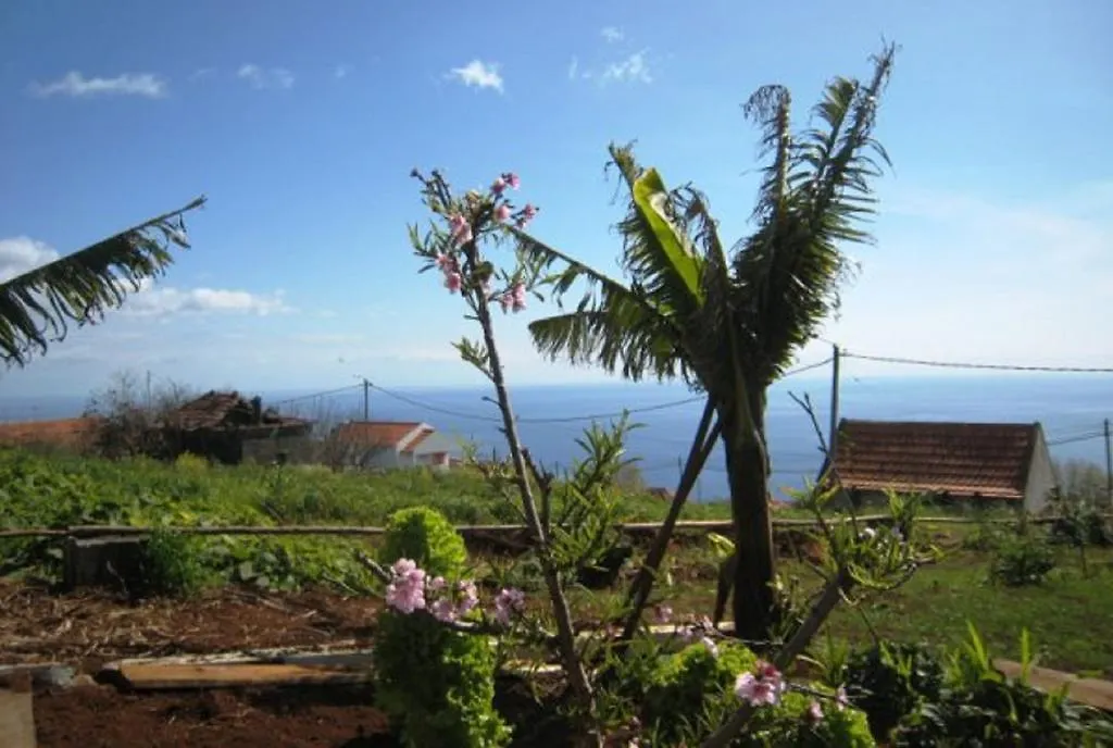 Little Norway In Madeira Villa Arco da Calheta
