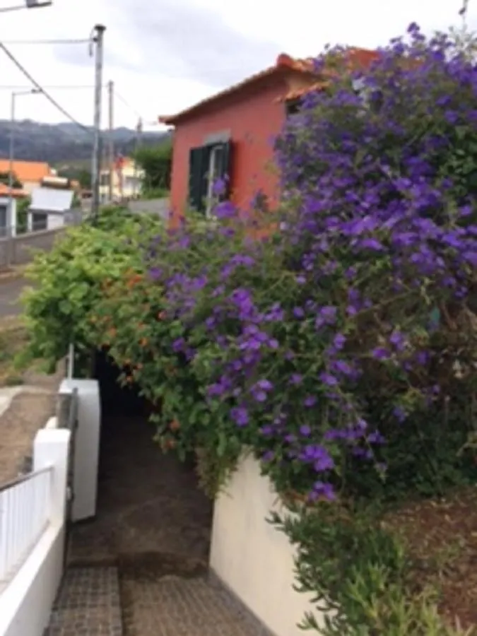 아르코다카헤타 Little Norway In Madeira 빌라 0*,  포르투갈