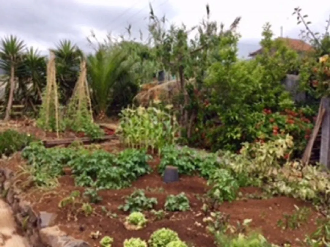 아르코다카헤타 Little Norway In Madeira 빌라 펜션